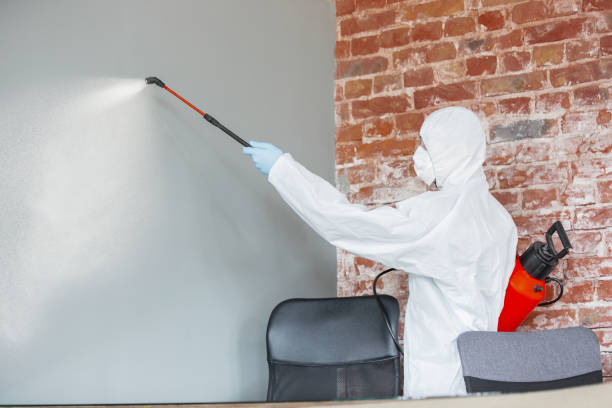 Best Attic Mold Removal  in Marion Oaks, FL